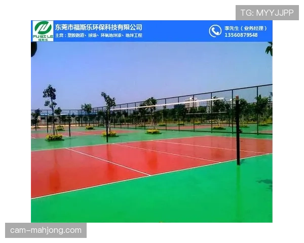 新圣埃蒂安主场“绿色球场”建设因环保抗议暂时停工